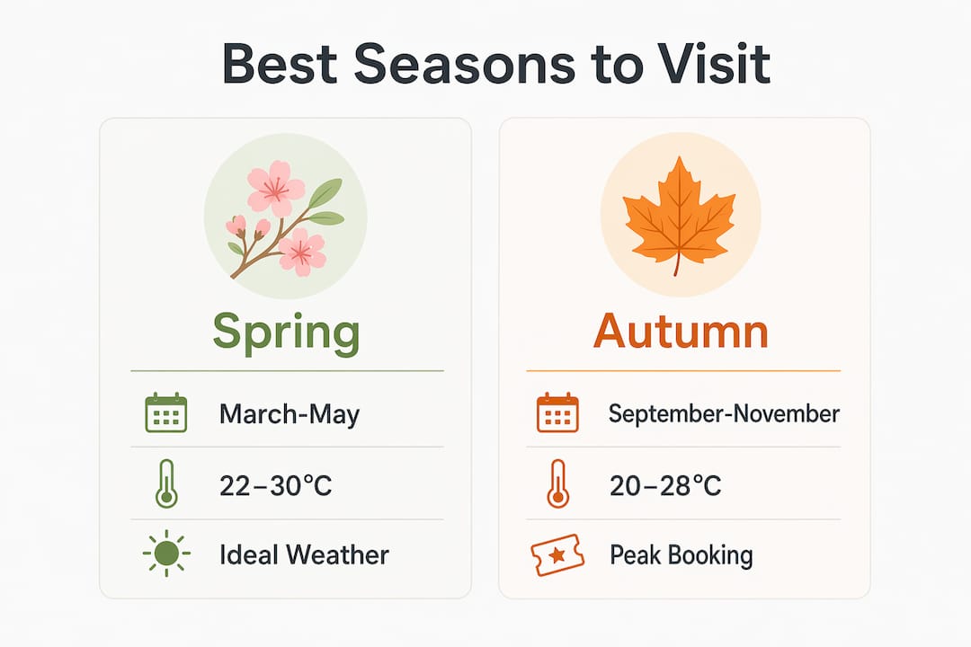 Infographic comparing best seasons to visit Merzouga