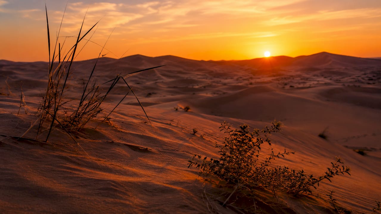 Vast and towering Merzouga Erg Chebbi dunes