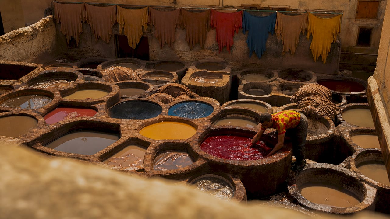 Overhead view of colorful dye vats at Fez tannery