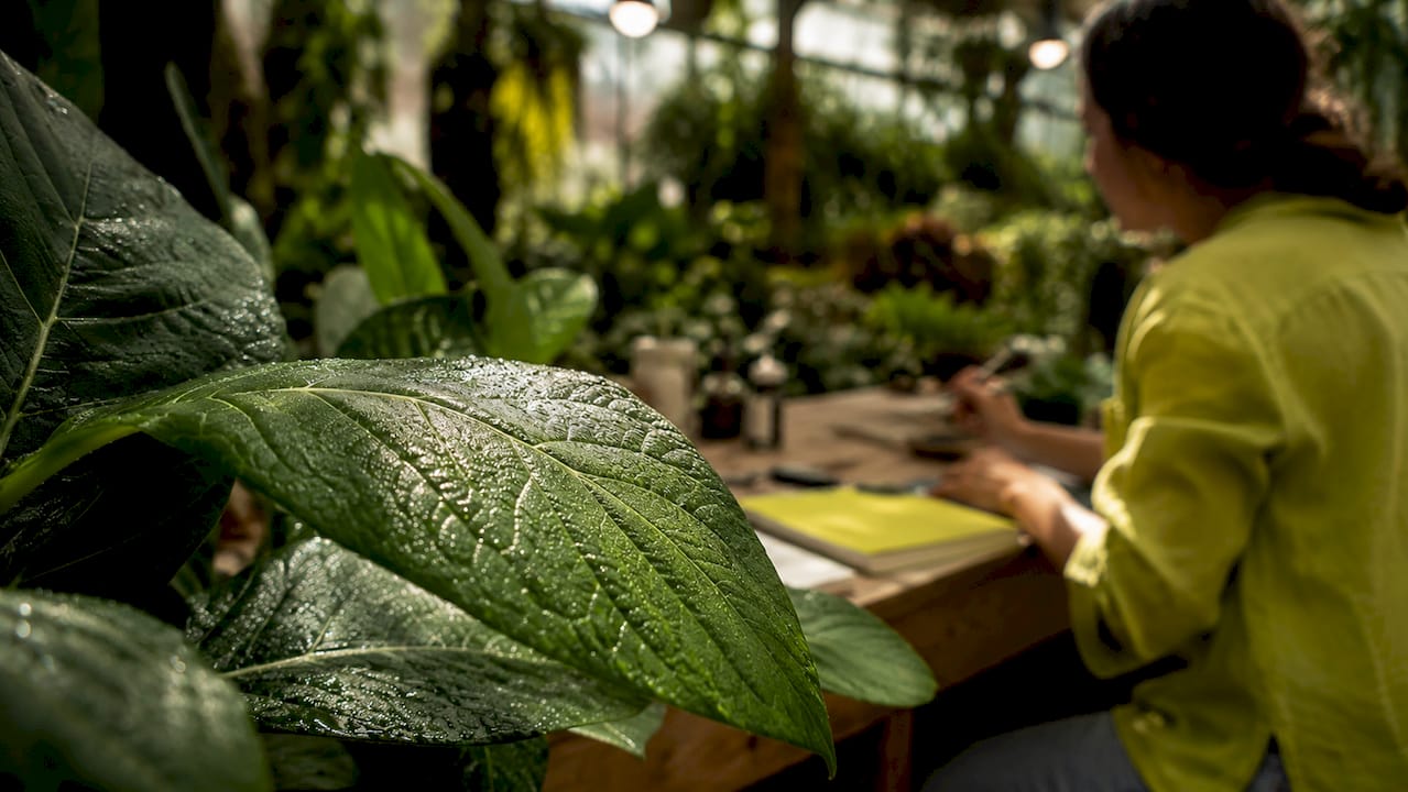 Close-up of plant leaves and research equipment