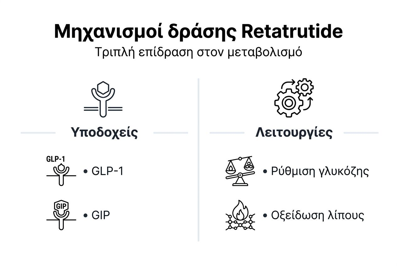 Εικονογραφημένη παρουσίαση: Πώς λειτουργεί το Retatrutide