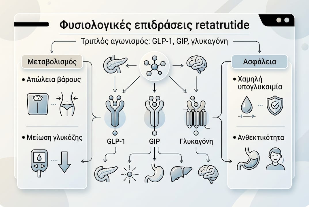 Ενημερωτικό γράφημα: Πώς επηρεάζει ο retatrutide τον οργανισμό μας