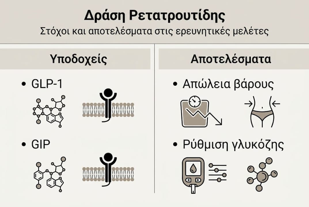 Ενημερωτικό γράφημα για τον τρόπο δράσης της ρετατρουτίδης και τα βασικά ευρήματα των σχετικών ερευνών