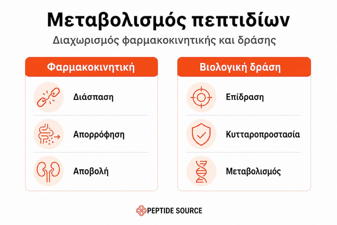 Γραφική απεικόνιση με σύγκριση των βασικών κατηγοριών του μεταβολισμού των πεπτιδίων