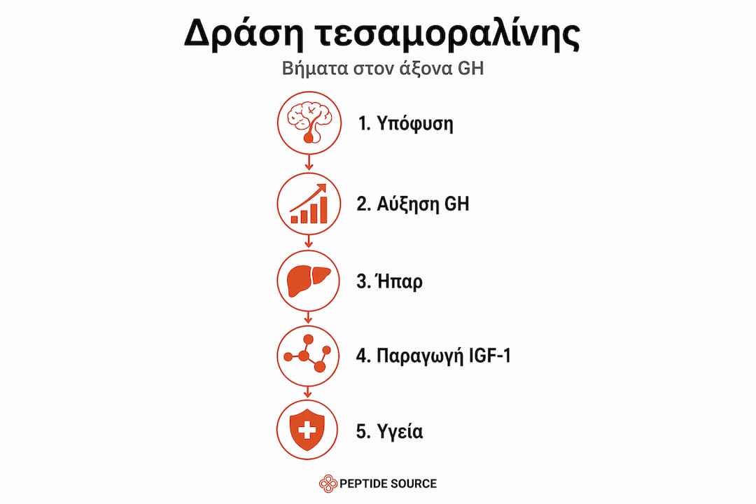 Εντυπωσιακό κάθετο infographic που παρουσιάζει τη δράση της τεσαμοραλίνης με τρόπο κατανοητό και οπτικά ελκυστικό.