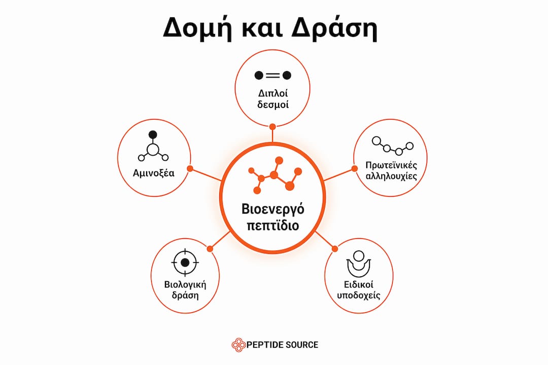 Απεικόνιση με ιεραρχική δομή που παρουσιάζει τη δομή και τον ρόλο των πεπτιδίων