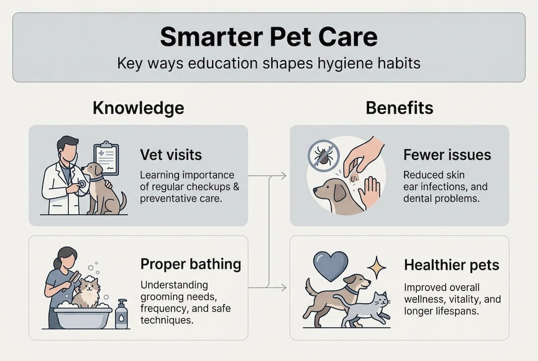 Infographic: education and pet hygiene overview