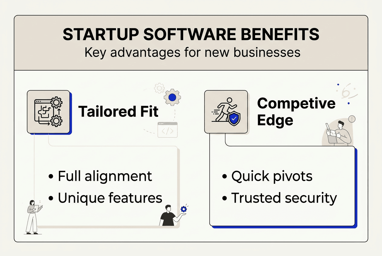 Infographic with custom software advantages