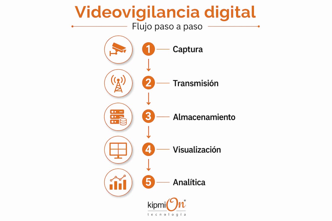 Infografía: cómo funciona el proceso de videovigilancia digital, explicado paso a paso