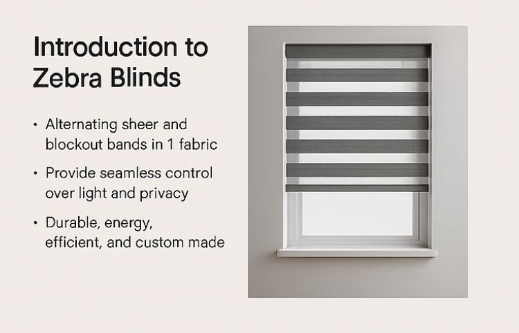 Custom Blinds Shutters Awnings -Official - Double Roller Zebra Blinds: Showroom Quality Guide For South Africans 2025 Introduction To Blinds Diagram Explaining The Function And Structure Of Double Roller Blinds