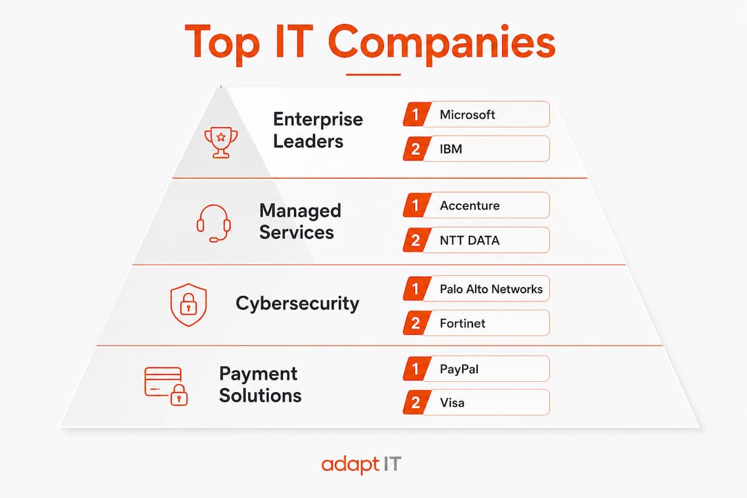 Hierarchy infographic of South African IT companies
