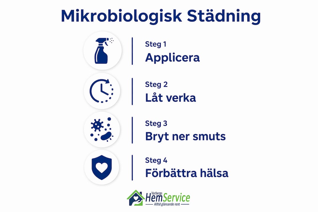 Grafisk översikt som illustrerar hur mikrobiologisk städning går till och vilka fördelar det medför