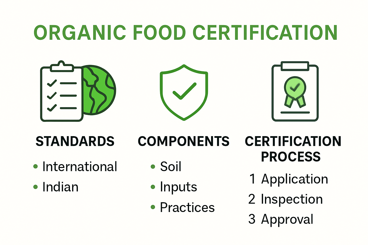 Infographic on organic food safety standards and certification process