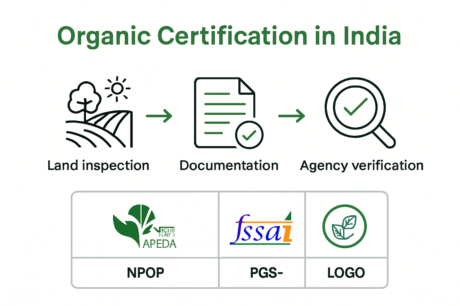 Infographic of India organic certification steps and authorities