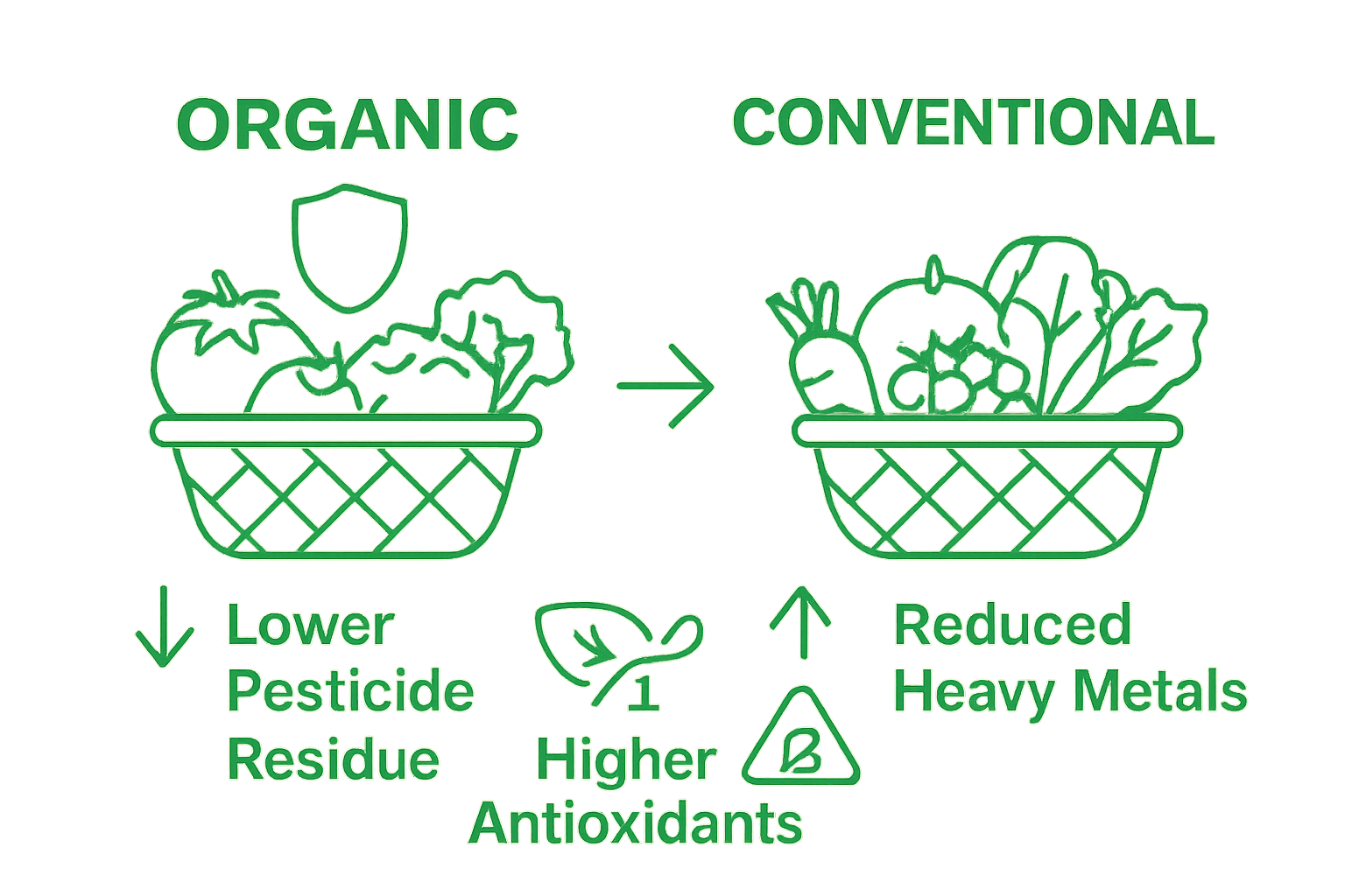 Infographic comparing organic and conventional produce for nutritional value and safety.