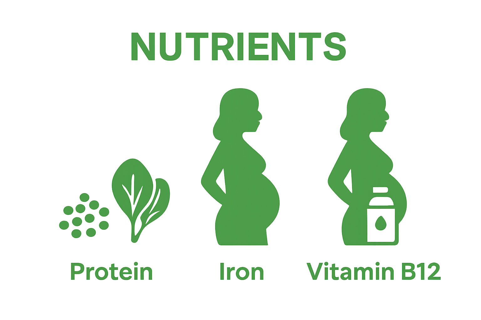 Infographic showing plant-based sources for protein, iron, and vitamin B12 in vegan pregnancy.