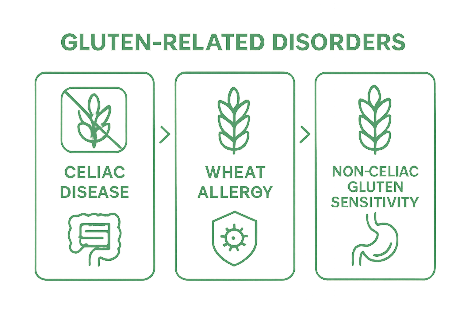 Infographic shows celiac disease vs. wheat allergy vs. gluten sensitivity