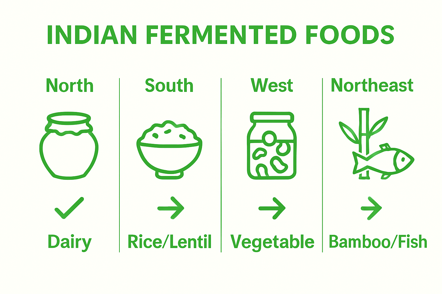 Indian fermented foods regional comparison infographic