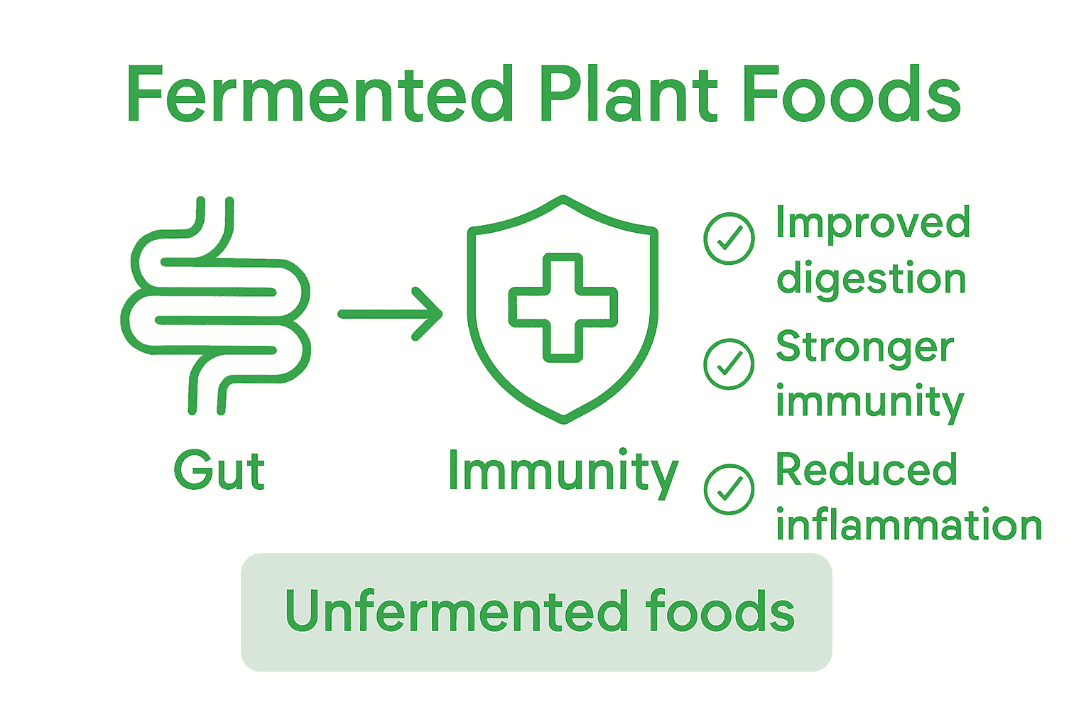 Infographic showing gut and immune system benefits from fermented plant foods