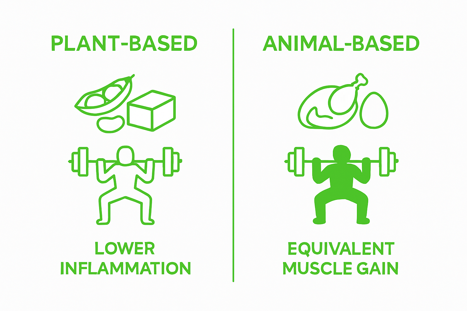 Infographic comparing plant and animal protein effects