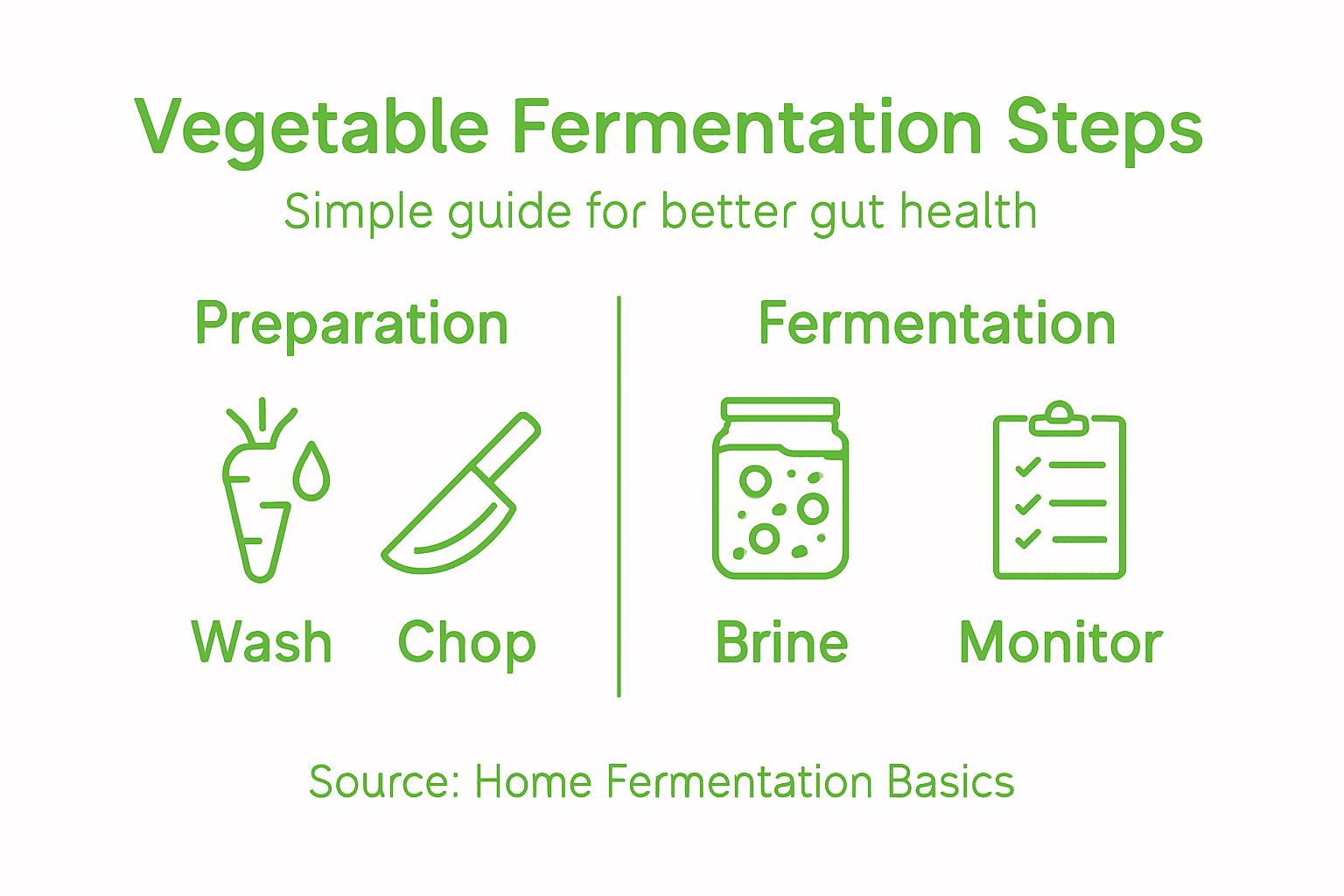 Infographic summarizing vegetable fermentation steps