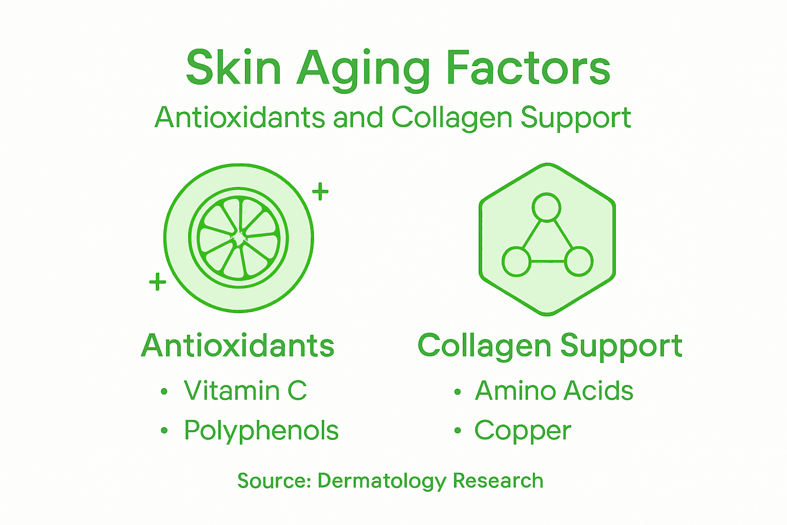 Infographic on antioxidants and collagen for aging skin