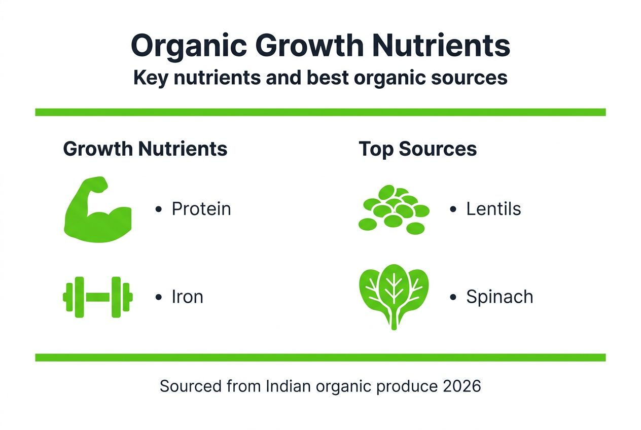 Infographic showing organic nutrients and food sources