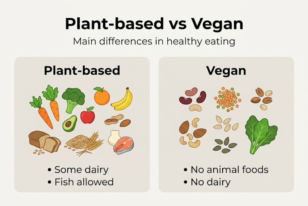 Infographic comparing plant-based and vegan diets