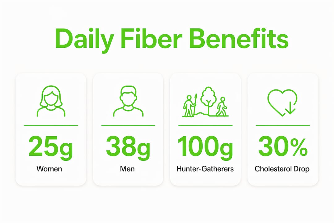 Infographic showing daily fiber intake recommendations and benefits
