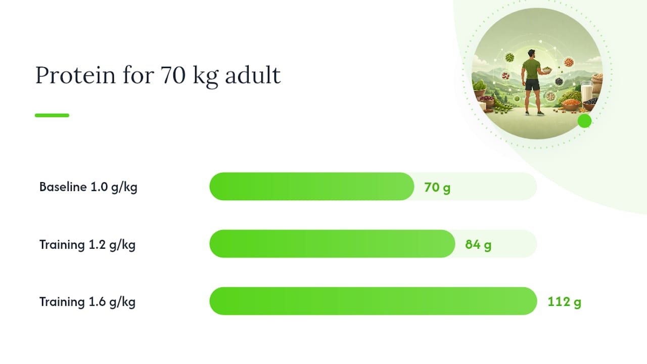 Daily protein needs by body weight and activity level