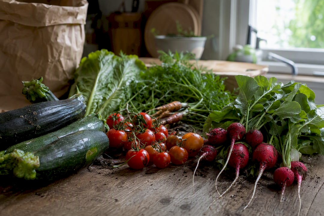 Fresh organic vegetables on rustic table