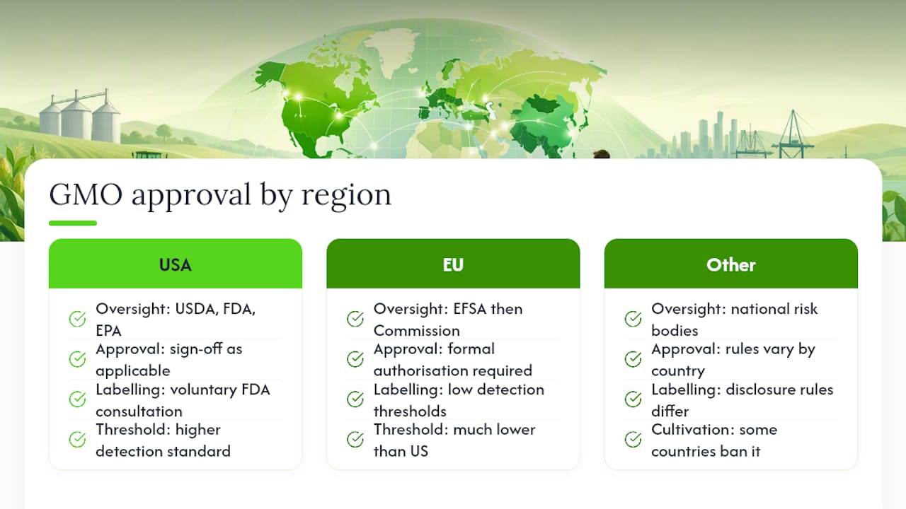 How are GMOs regulated and approved around the world? — overview diagram