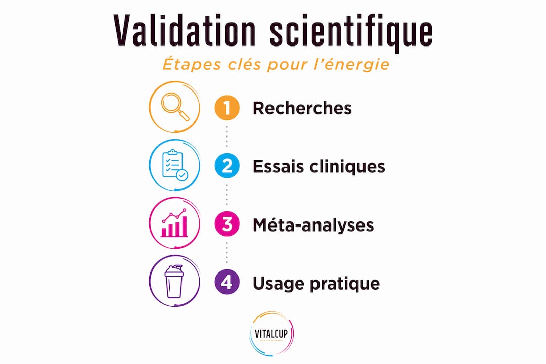 Infographie : les étapes clés de la validation scientifique des compléments alimentaires