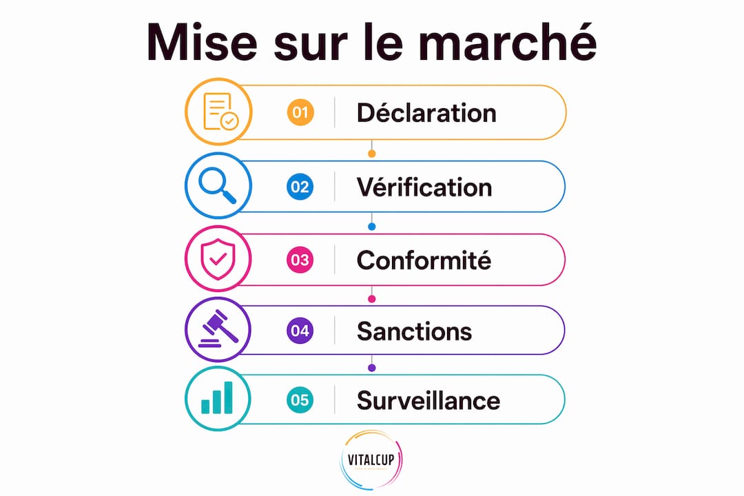 Infographie : les grandes étapes pour lancer un complément alimentaire sur le marché