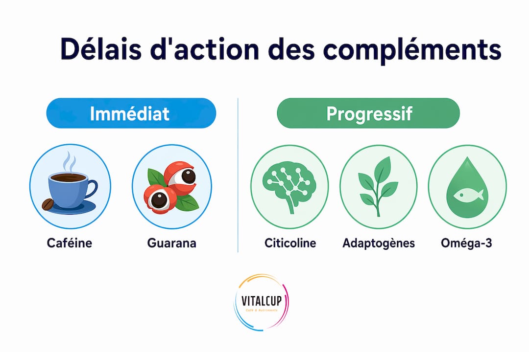 Infographie : délais à prévoir pour la prise de compléments et impact sur la concentration