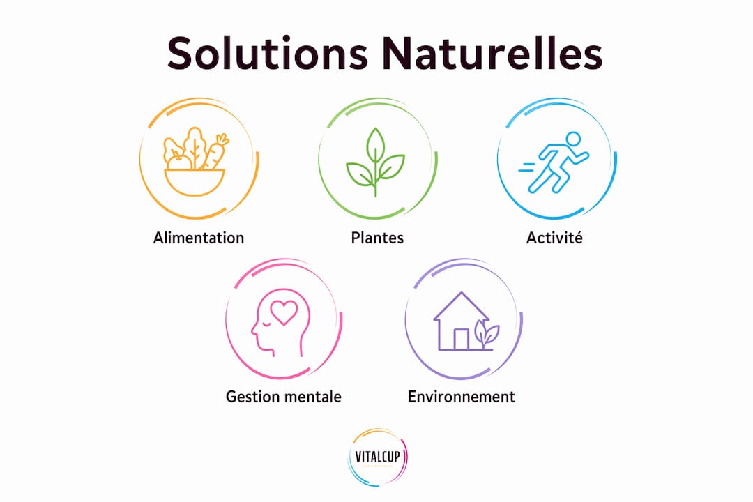Découvrez en un coup d'œil les cinq grandes familles de solutions fondées sur la nature grâce à cette infographie.