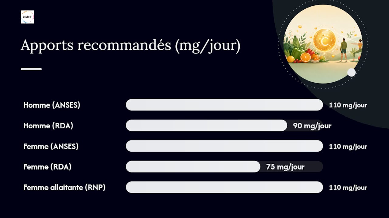 Quels sont les besoins quotidiens en vitamine C selon les différents profils ?