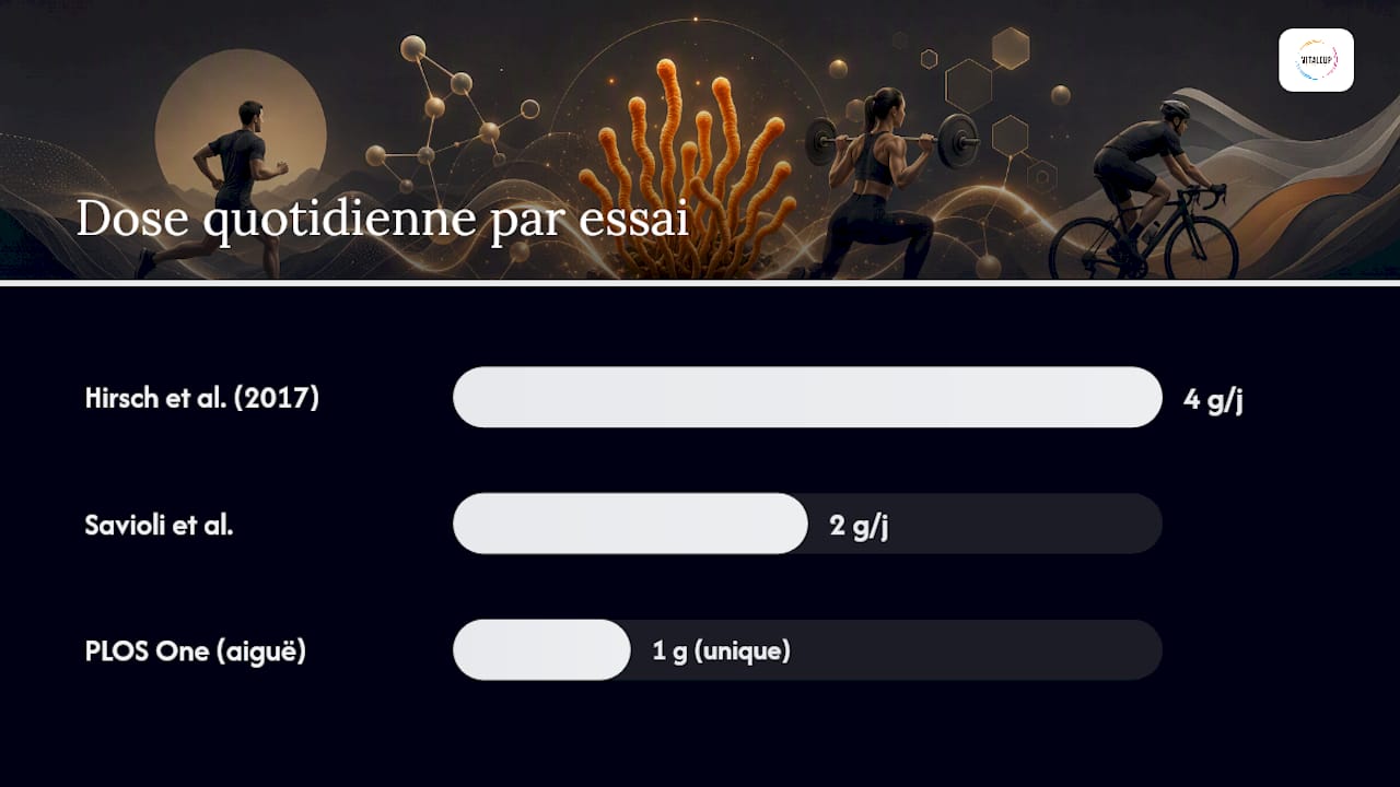 Tableau comparatif des études cliniques sur les cordyceps en sport