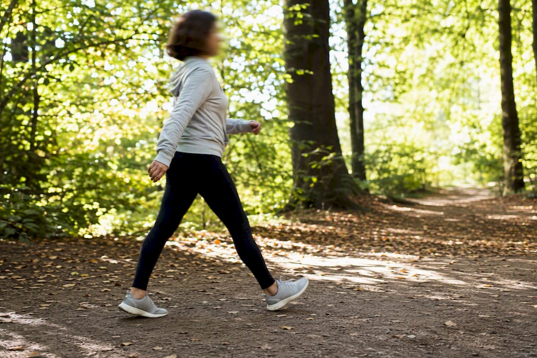 Pas qui avancent sur un sentier forestier