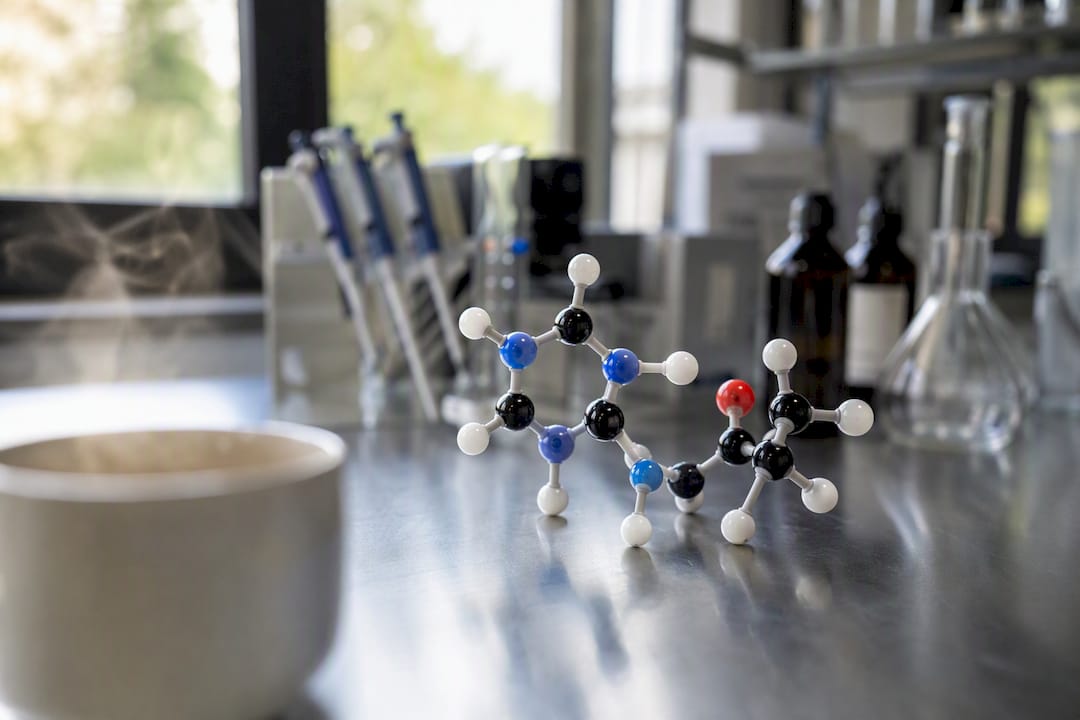 Modèle moléculaire de l'adénosine près d'une tasse de café