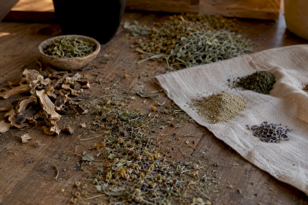 Gros plan sur des poudres naturelles d'herbes et de champignons