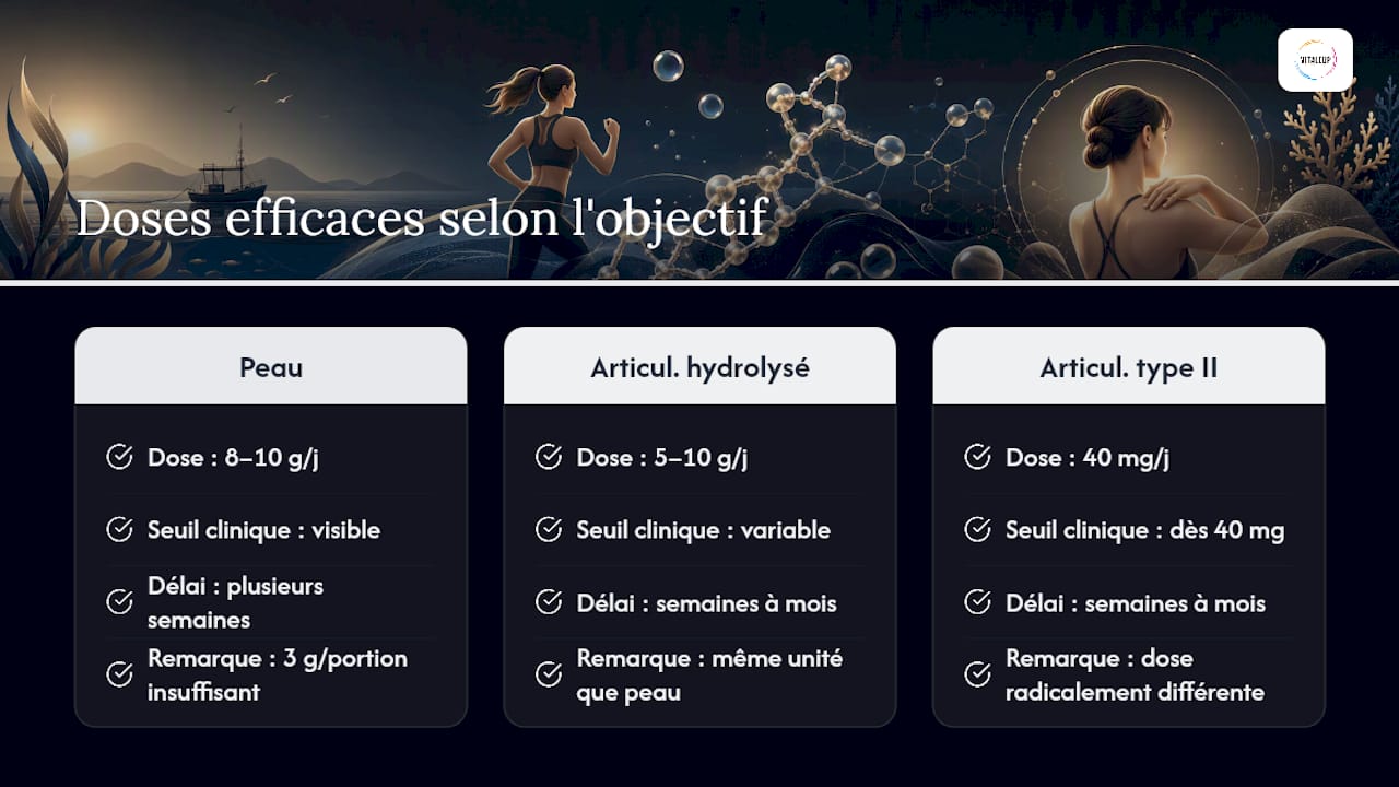 Quelles doses de collagène marin sont efficaces selon la science ? — overview diagram