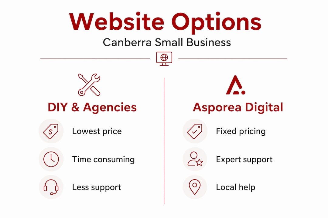Infographic comparing website options in Canberra