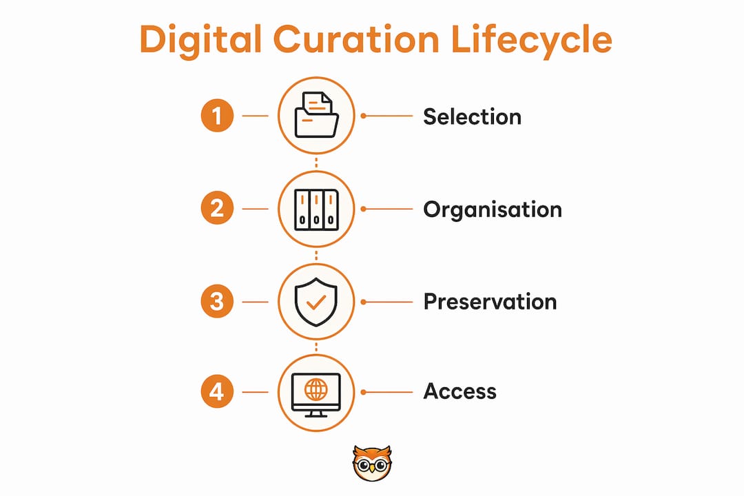 Infographic illustrating four stages of digital curation lifecycle