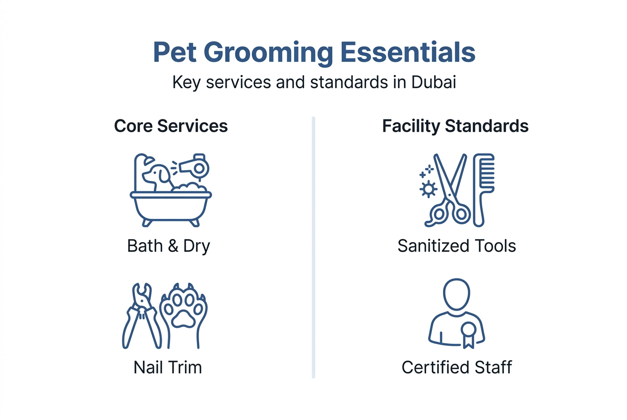 Infographic of Dubai pet grooming essentials and standards