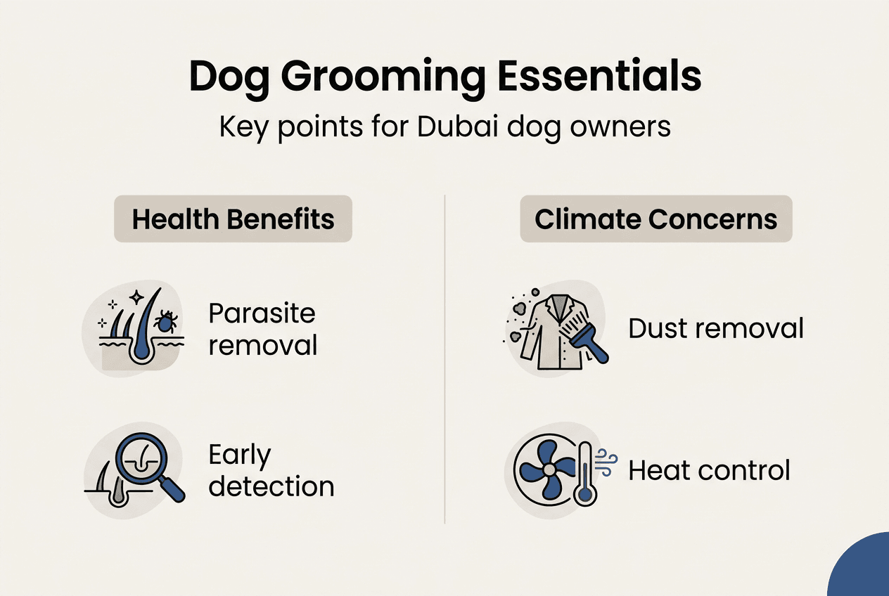 Dog grooming essentials for Dubai infographic