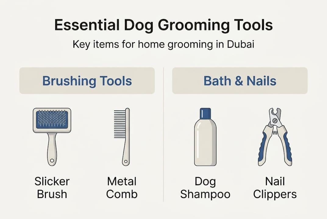 Infographic of essential home dog grooming tools