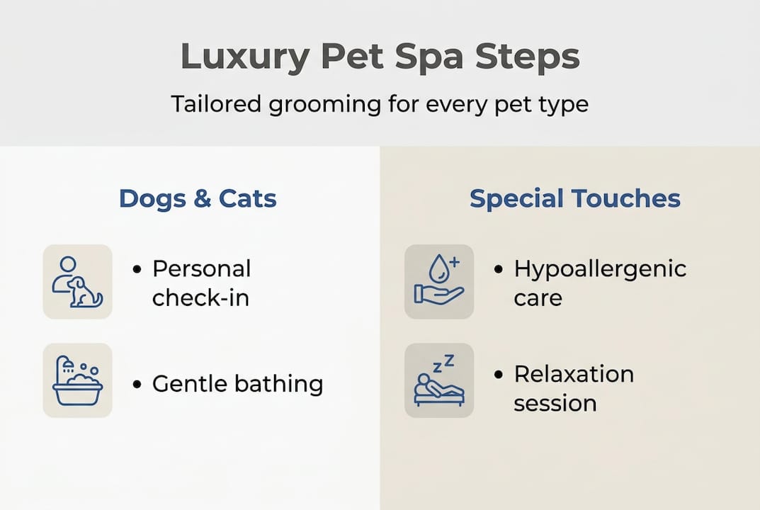 Infographic showing luxury pet spa steps and features
