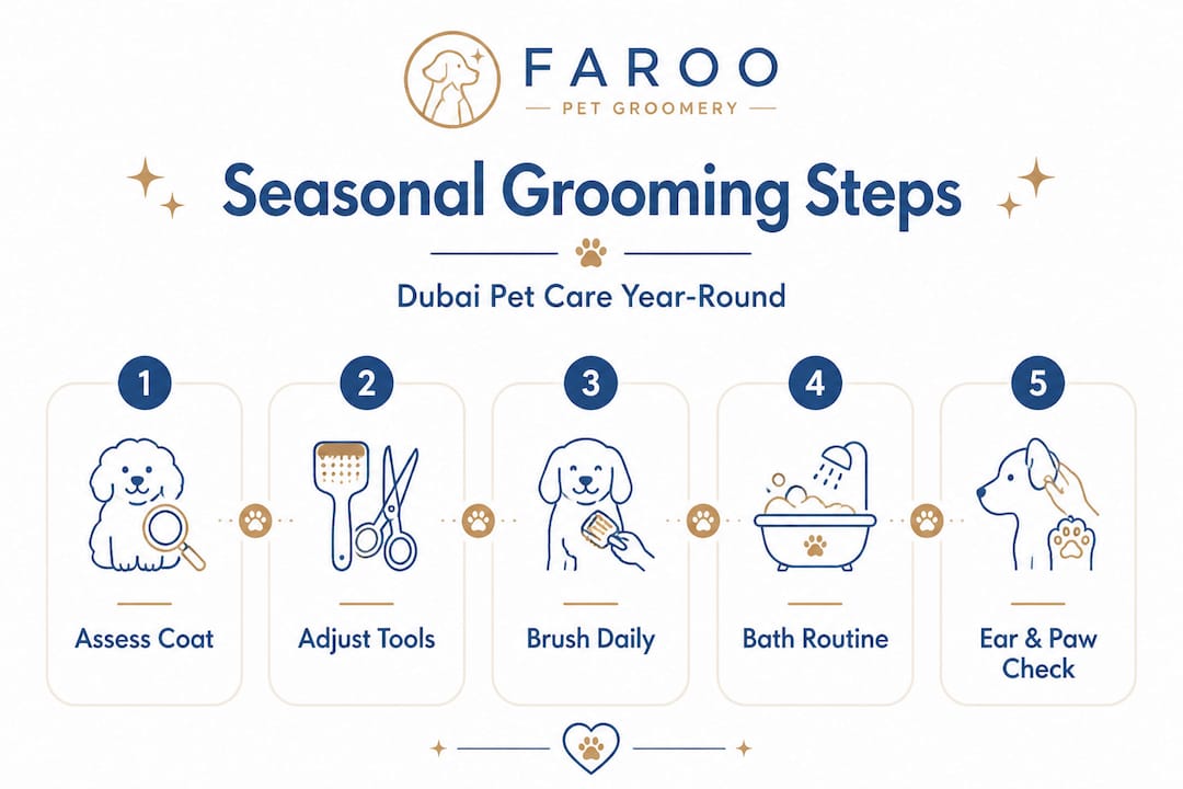 Infographic of seasonal pet grooming steps