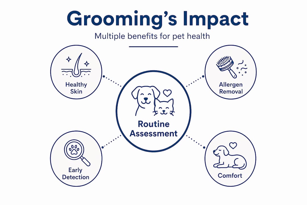 Hierarchy infographic showing grooming benefits for pets